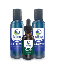 CATastic Wellness Kit