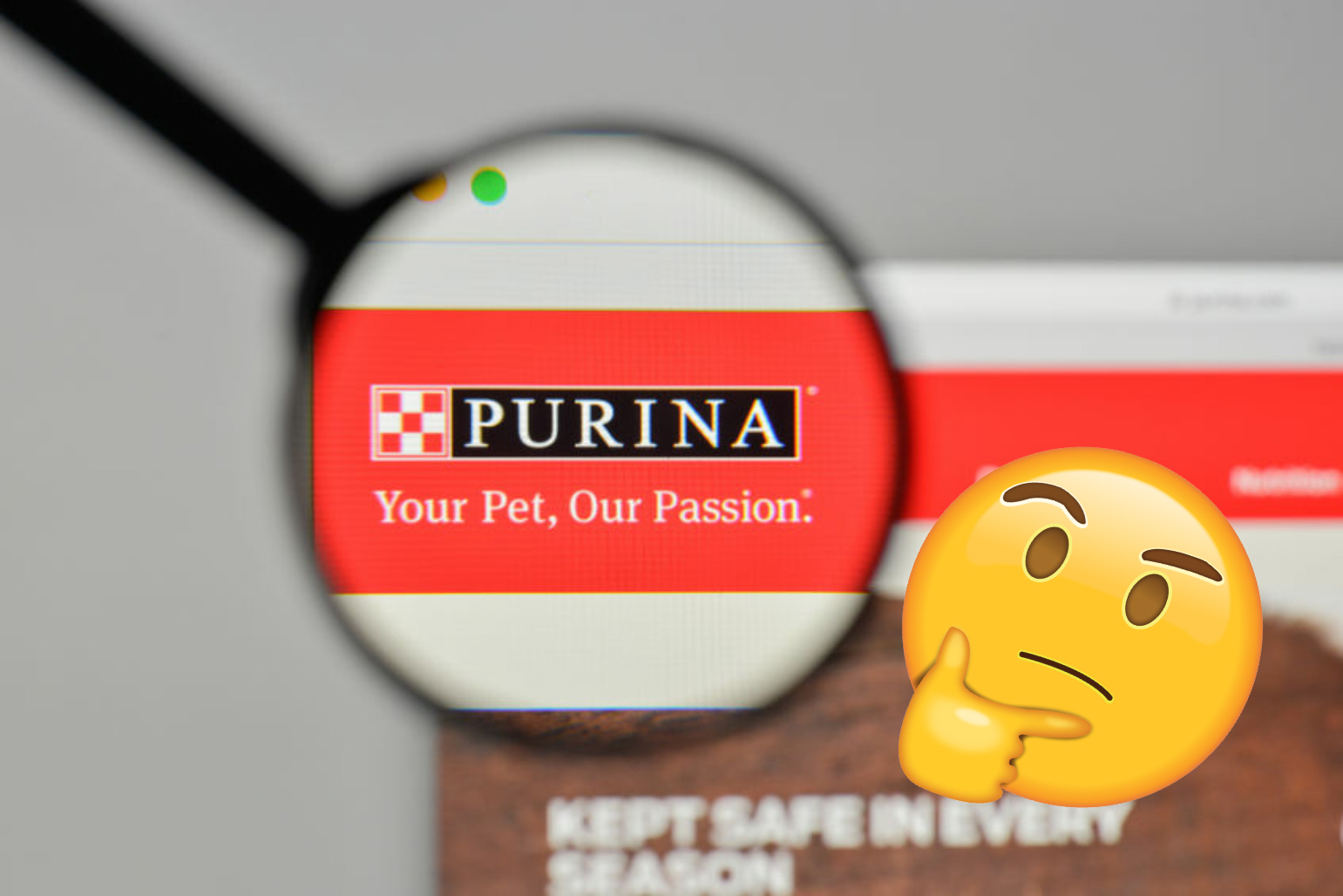 Why Purina Is Buying Champion Petfoods