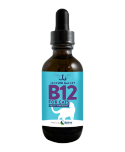 Liquid B12 for cats can help with many health issues kitties face