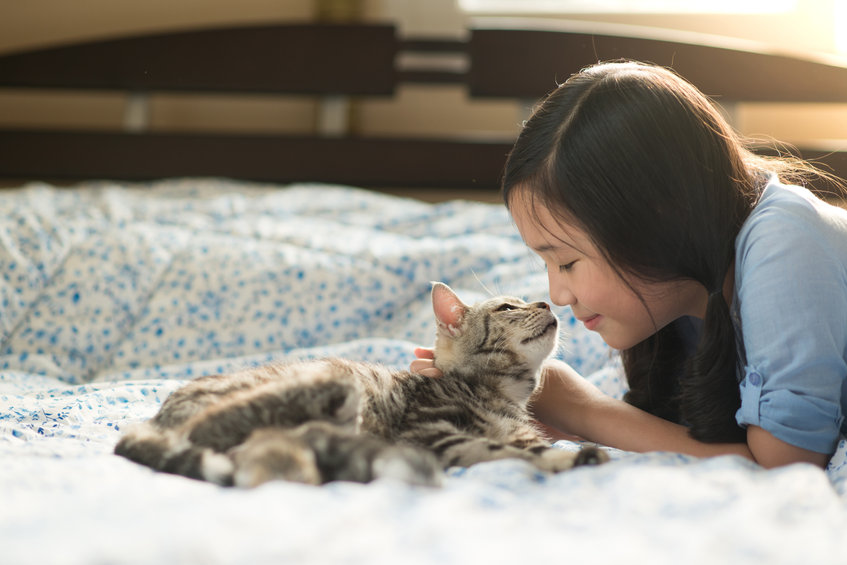 Cat Care Tips You May Not Know