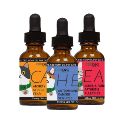 CBD Cat Health