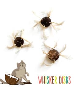 Whisker Disks