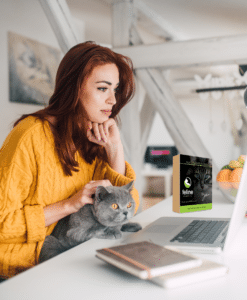 Order your Feline Hair and Saliva Test Kit Consult - a custom recorded consultation with a holistic health practitioner, who will cover the key takeaways from your cat’s bioenergetic scan results