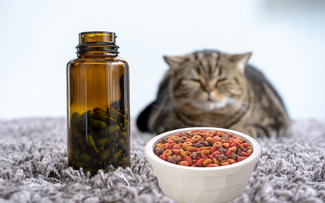Have you been told that a prescription diets for your cat is all they can eat? Here's the truth about prescription diets..