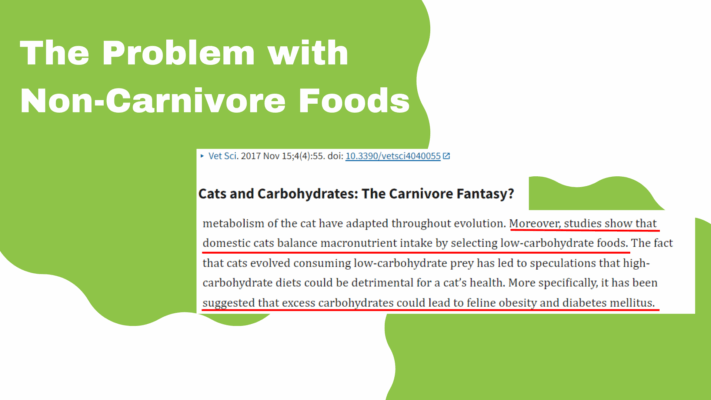 why cats need a better diet